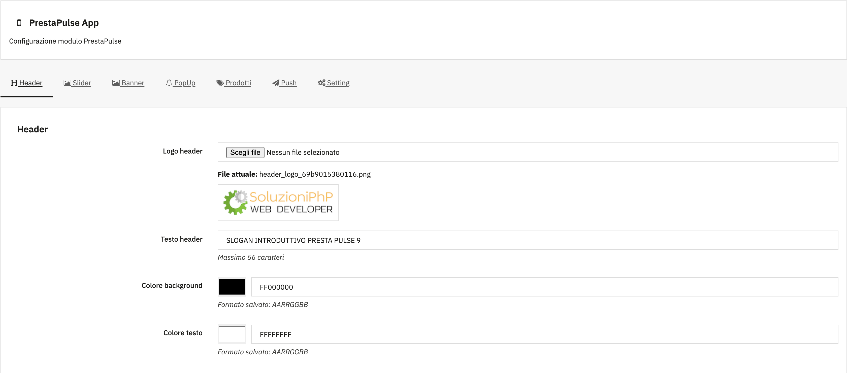 Gestione Logo ed Hader Text
